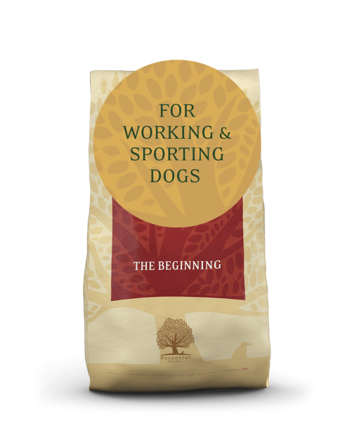 ESSENTIAL THE BEGINNING SMALL KIBLE SIZE 10KG