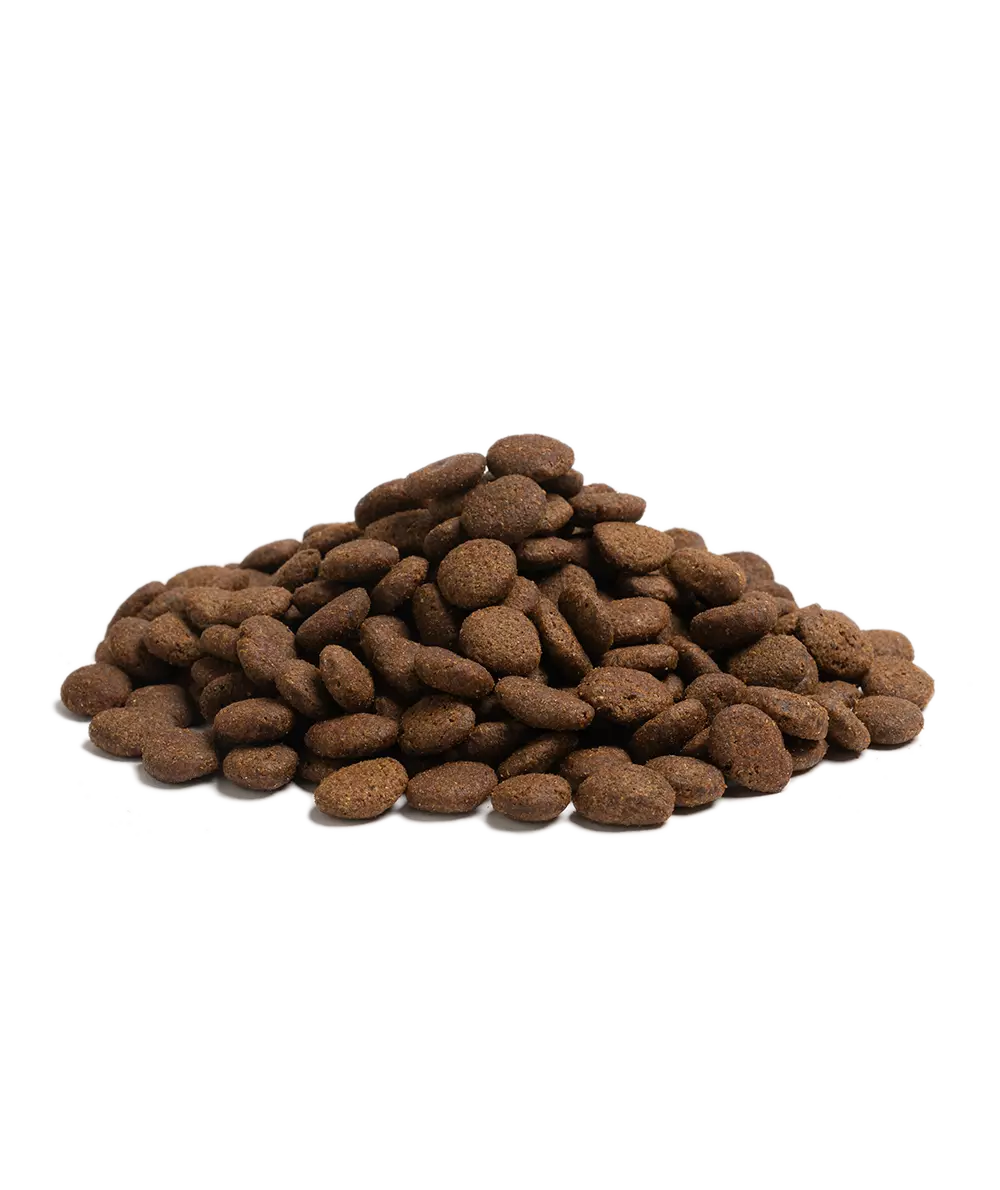 ESSENTIAL THE BEGINNING LARGE BREED 2.5KG - Image 2