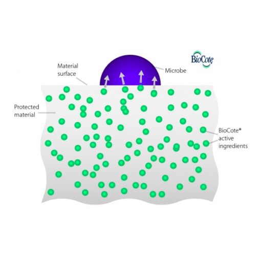 Apple Biosafe Toy - Image 2
