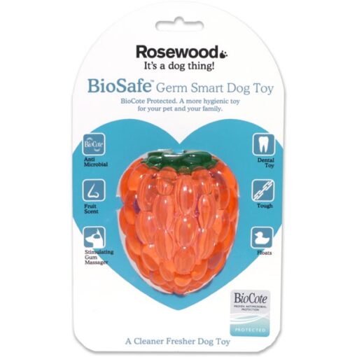 Raspberry Biosafe Toy