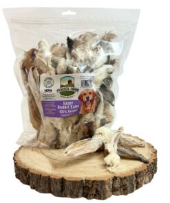 bag of rabbit ears