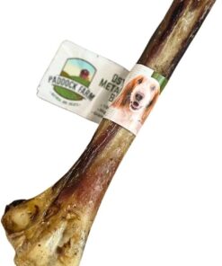 Ostrich Metatarsus Bone