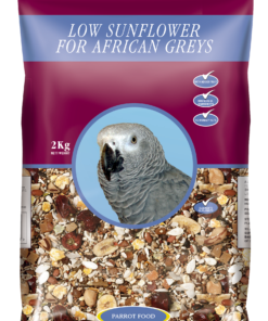 Low sunflower bird food for african greys
