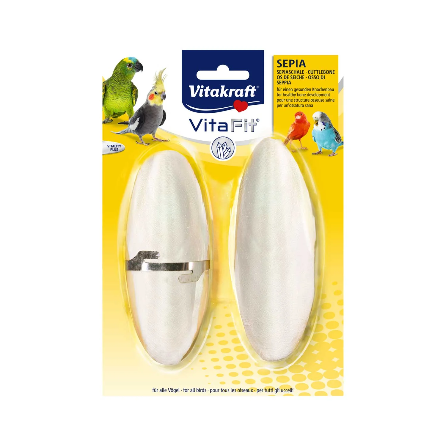 Cuttlefish bone