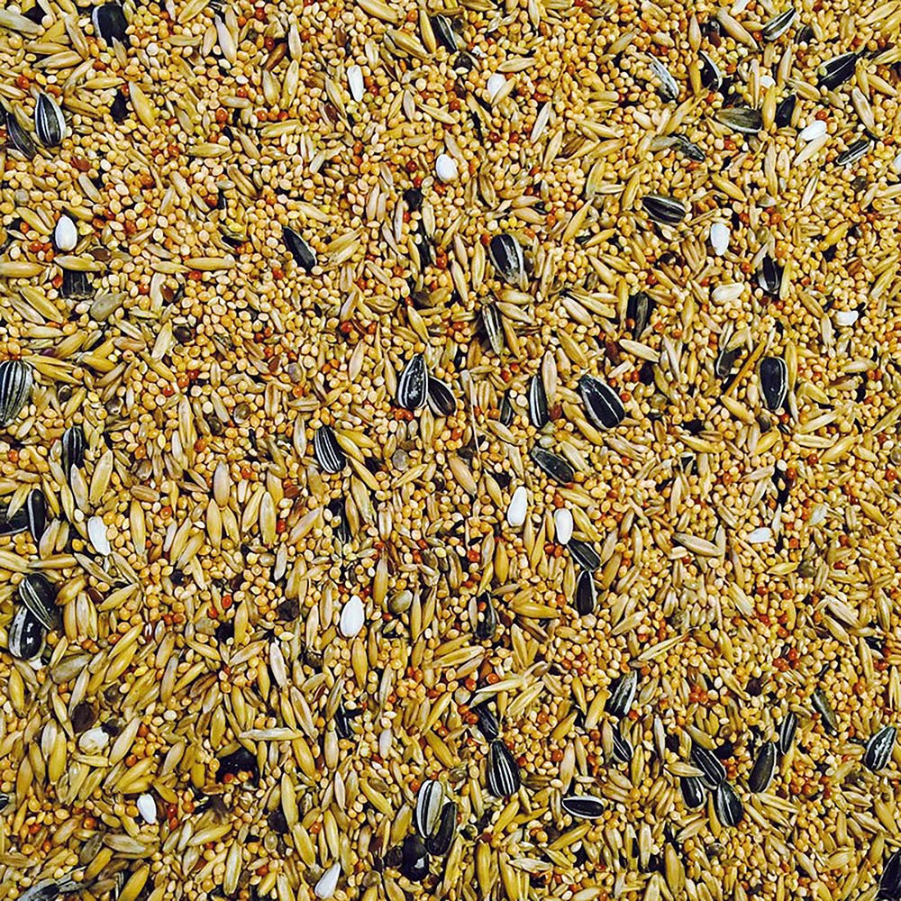 Bucktons Cockatiel & Lovebird food 2kg - Image 3