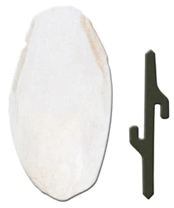 Ferplast Cuttlefish Bone 1pc