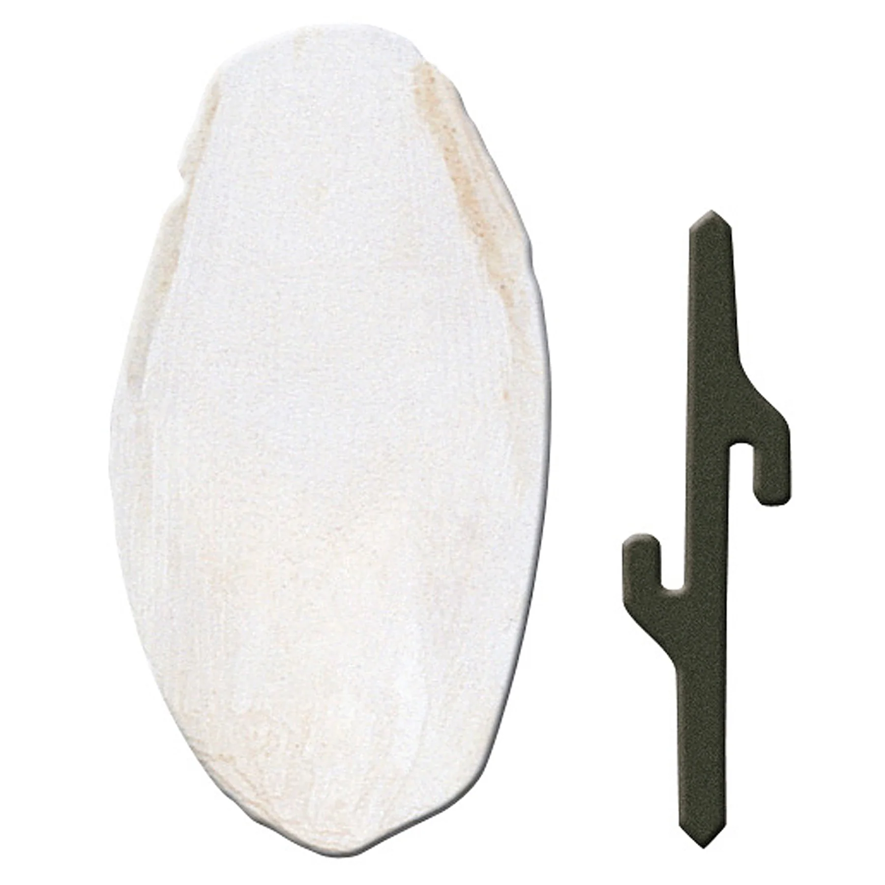 Ferplast Cuttlefish Bone 1pc