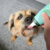 JR Pet Herring Meat Paste Dog