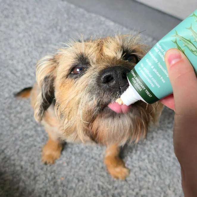 JR Pet Herring Meat Paste Dog