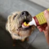 JR Pet Cheese paste treat dog