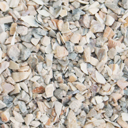 crushed oyster shell close up