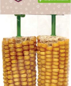 Sun ripened corn