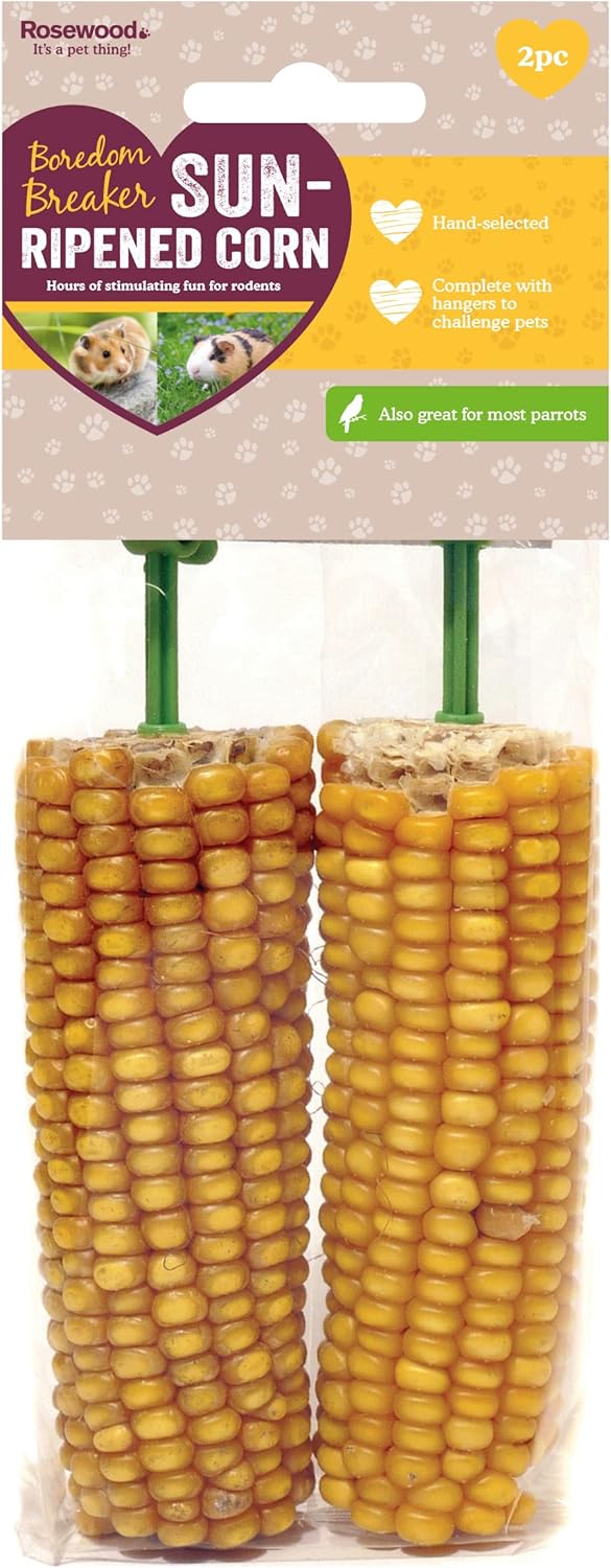 Sun ripened corn