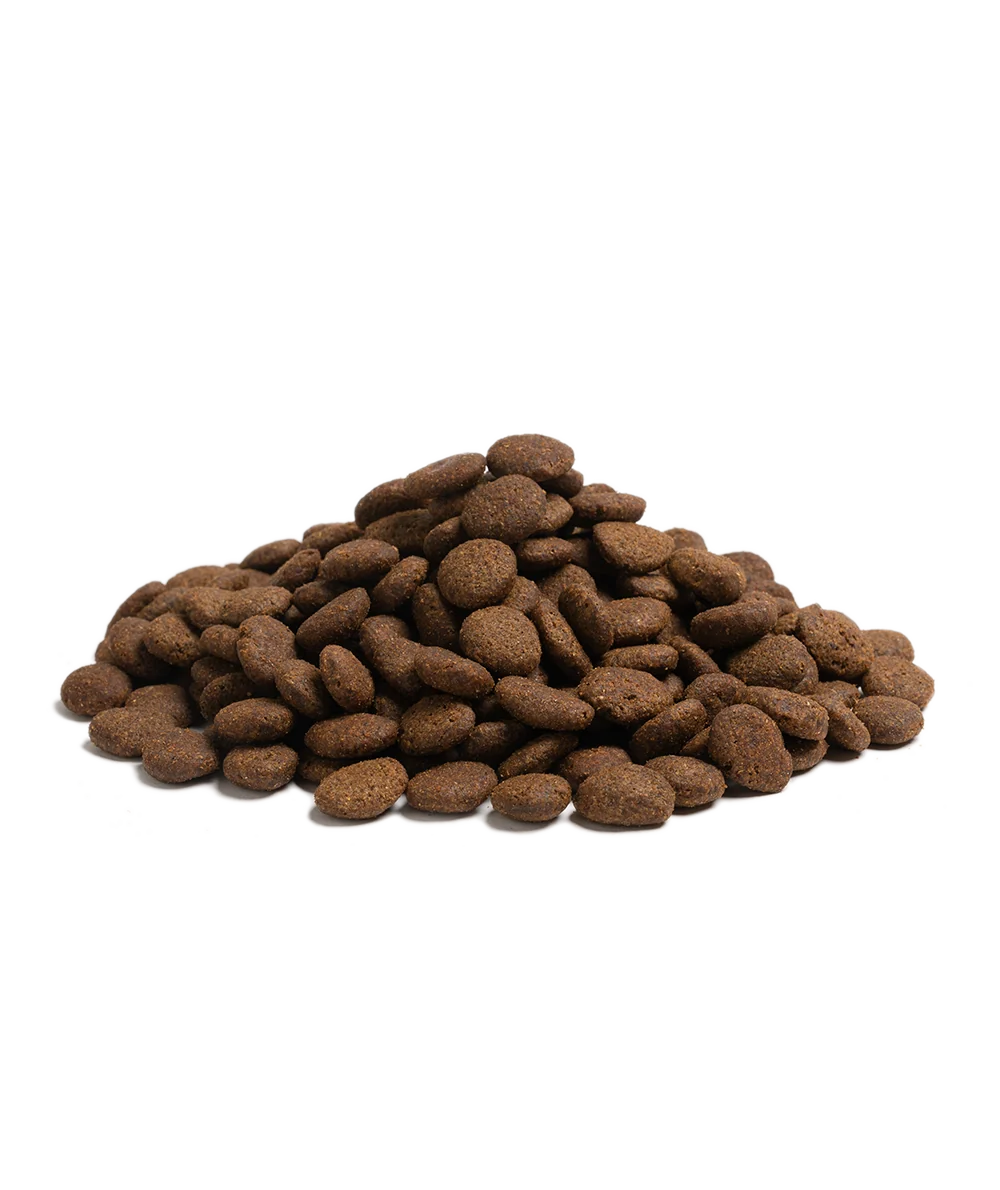 Essential Foods, Beginning large breed Nautical edition kibble