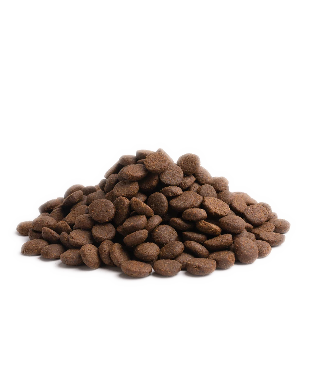 Essential Foods Superior Living Dry Kibble close up
