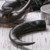 Hollings buffalo horn