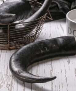 Hollings buffalo horn