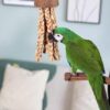 rosewood naturals woven jellyfish parrot