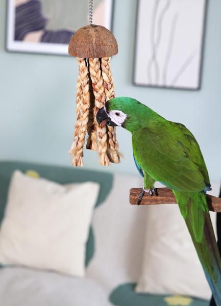 rosewood naturals woven jellyfish parrot