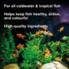King British Weekend Feeders info