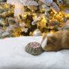 Rosewood Naturals Herbs n Hay Party Gateau Guinea Pig
