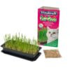 Vitakraft Cat Grass Seed Mix with Tray 120g