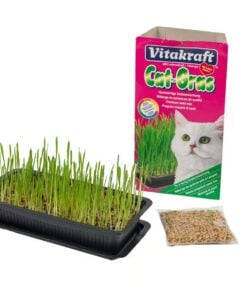 Vitakraft Cat Grass Seed Mix with Tray 120g