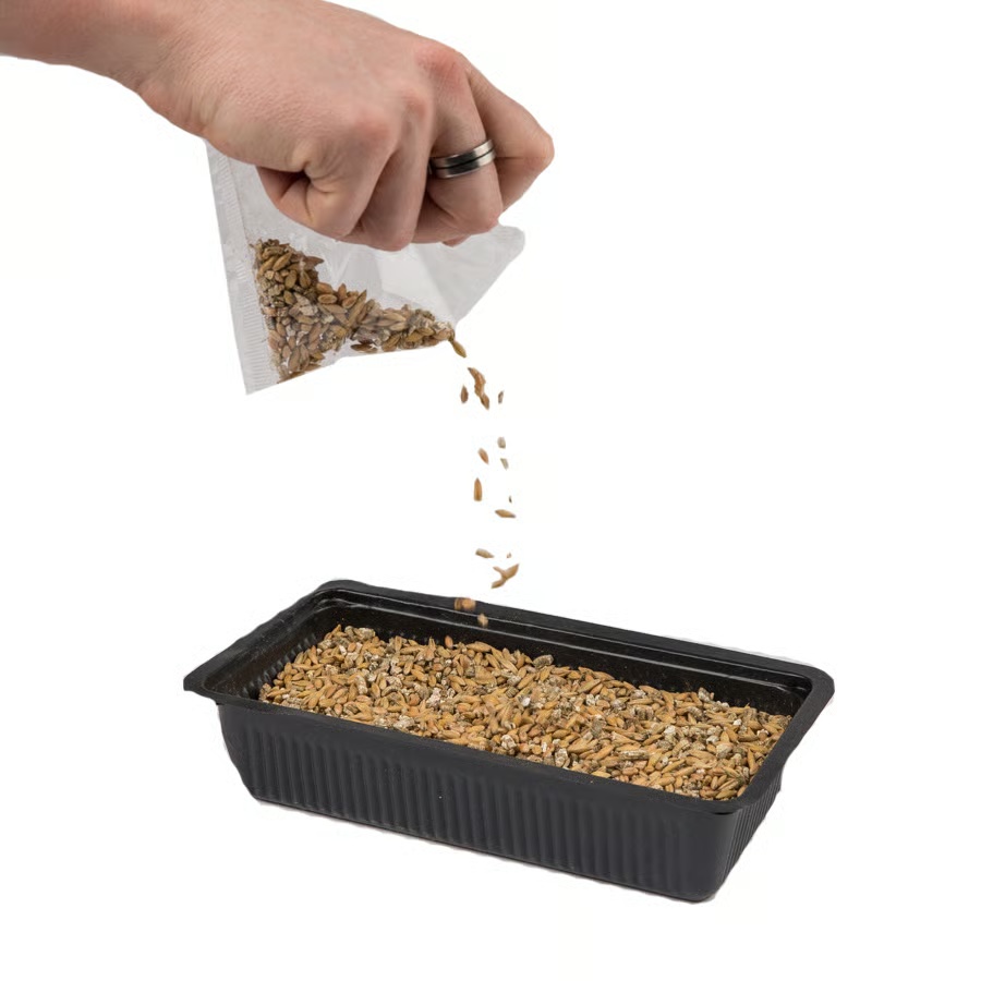 Vitakraft Cat Grass Seed Mix with Tray Step 1