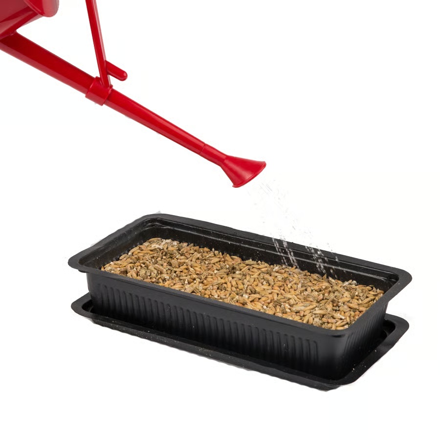Vitakraft Cat Grass Seed Mix with Tray Step 2