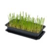 Vitakraft Cat Grass Seed Mix with Tray Step 3
