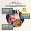 Wilsons Cold Pressed Dry Dog Food: Salmon What is Wilsons Cold pressed