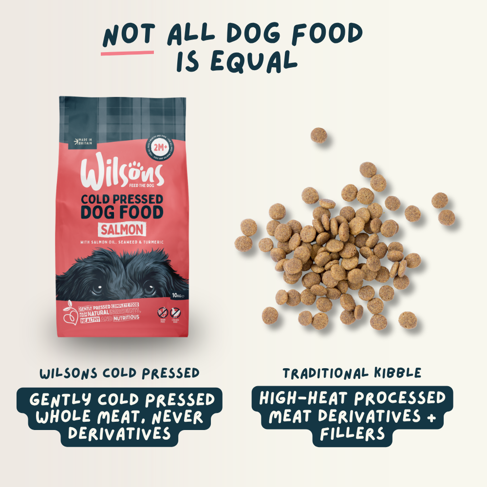 Wilsons Cold Pressed Dry Dog Food: Salmon vs others