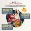 Wilson's Cold Pressed Dog Food - Venison & Trout What it is