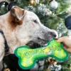 Grinch Bone Toy Dog 1