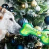 Grinch Bone Toy Dog 2
